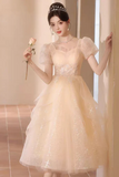 A woman wearing a pale blush pink tulle ball gown with short puff sleeves, a sheer sweetheart neckline, and sparkling lace applique on the bodice. She is holding a single rose and wearing a jeweled headpiece in a softly lit indoor setting.