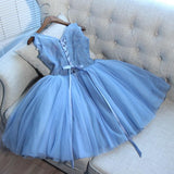 Blue Tulle A Line Lace Appliques Short Homecoming Dresses PFH0109