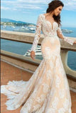 2019 Lace Mermaid Deep V-Neck Backless Long Sleeves Backless Wedding Dresses PFW0138