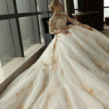 3/4 Sleeve Lace Appliques Tulle Ball Gown Plus Size Wedding Dress PFW0149