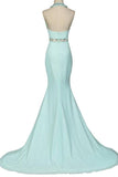 Mint Halter Open Back Long Mermaid Charming Elegant Chiffon Prom Dresses PFP1045