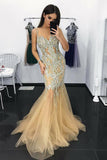 Charming Mermaid Illusion Neck Tulle Long Prom Dress with Appliques Sequins PFP0246