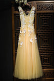 Charming Flowy Long Tulle V Neck Prom Dress With Lace Butterflies PFP0287