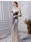 Elegant Mermaid Long Tulle Beading Prom Dresses PFP1383