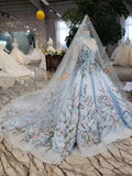 Stunning Light Blue Ball Gown Wedding Dresses, Quinceanera Dresses PFW0362