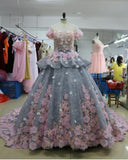 Pretty Backless Quinceanera Dress,Ball Gown Long Wedding/Prom Gown PFW0240