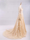 Pretty A-Line V-Neck Long Sleeves Tulle Appliques Floor Length Prom Dresses PFP0015