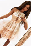 Tulle Short Prom Dress, Sheer Neck A Line Homecoming Dress PFH0271