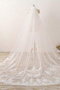 3M Long Embroidered Lace Cathedral Veil for Wedding