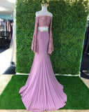 Promfast Chic Sheath Spaghetti Straps Pink Long Sleeves Prom Dresses Evening Dress PFP1774