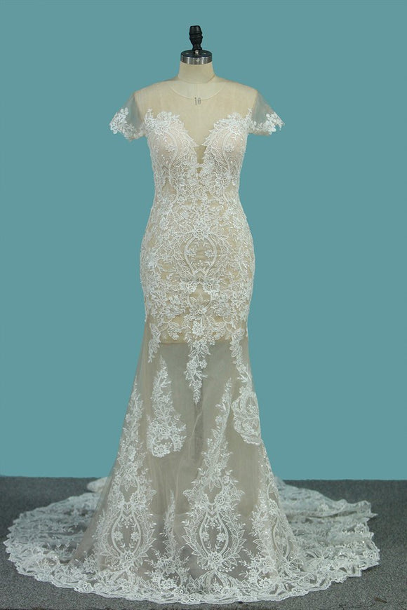 Scoop Short Sleeve Mermaid Tulle Lace Applique Wedding Dresses PFW0041